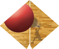 Dodgeball- Aerial Diamond Insert