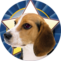 Dogs- Beagle Insert