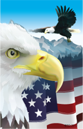 American Eagle Plaque Insert