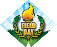 Field Day- Torch Diamond Insert
