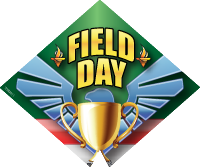 Field Day- Eagle Diamond Insert