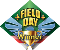 Field Day- Winner Eagle Diamond Insert