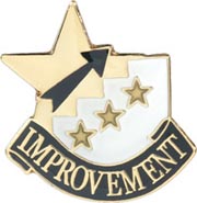 Scholastic Star Pins- Improvement