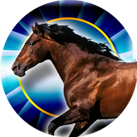 Horses- Arabian Horse Insert