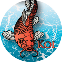 Fish- Koi Fish