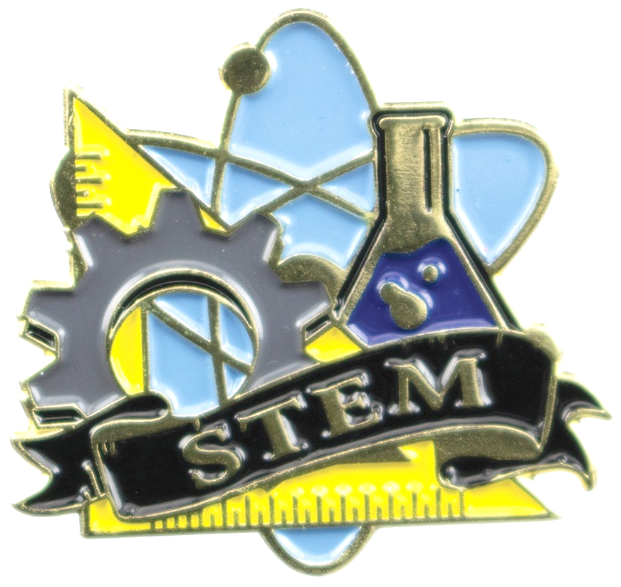 STEM Academic Lapel Torch Pin
