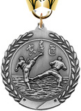 Martial Arts Medal- Silver