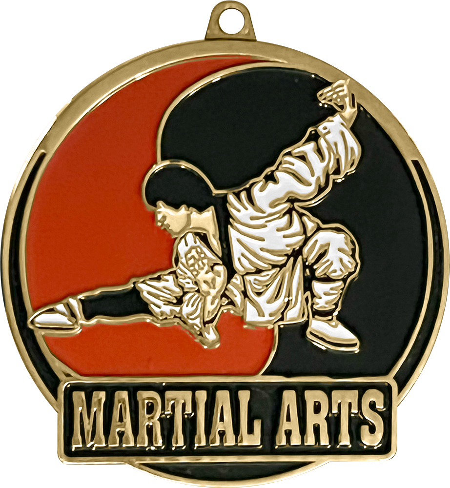 Martial Arts Enameled Medal