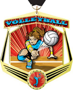 Volleyball Marquee Insert Medal