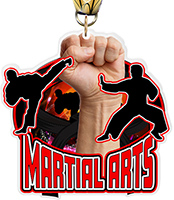 Martial Arts Colorix-M Acrylic Medal - 3.75 inch