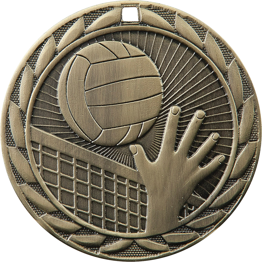 Volleyball FE Iron Medal