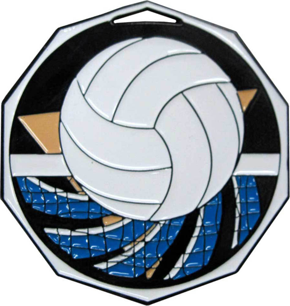 Volleyball Decagon Painted Medal