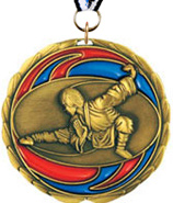 Martial Arts Epoxy Color Medal - Gold