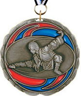 Martial Arts Epoxy Color Medal - Silver