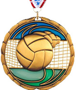 Volleyball Epoxy Color Medal - Gold