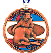 Wrestling Epoxy Color Medal - Bronze