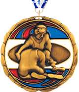 Wrestling Epoxy Color Medal - Gold