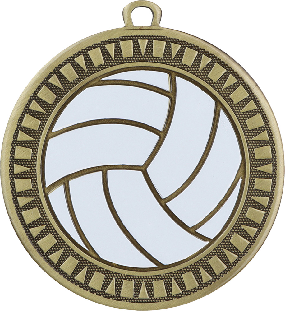 Volleyball Velocity Medal