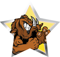 Mascots- Boars Star Insert