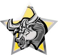 Mascots- Bulls Star Insert