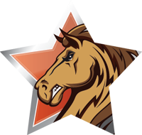 Mascots- Mustang Star Insert