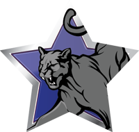Mascots- Panthers Star Insert