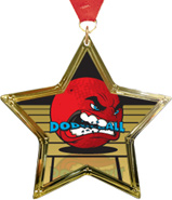 Dodgeball Star-Shaped Insert Medal