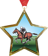Polo Star-Shaped Insert Medal