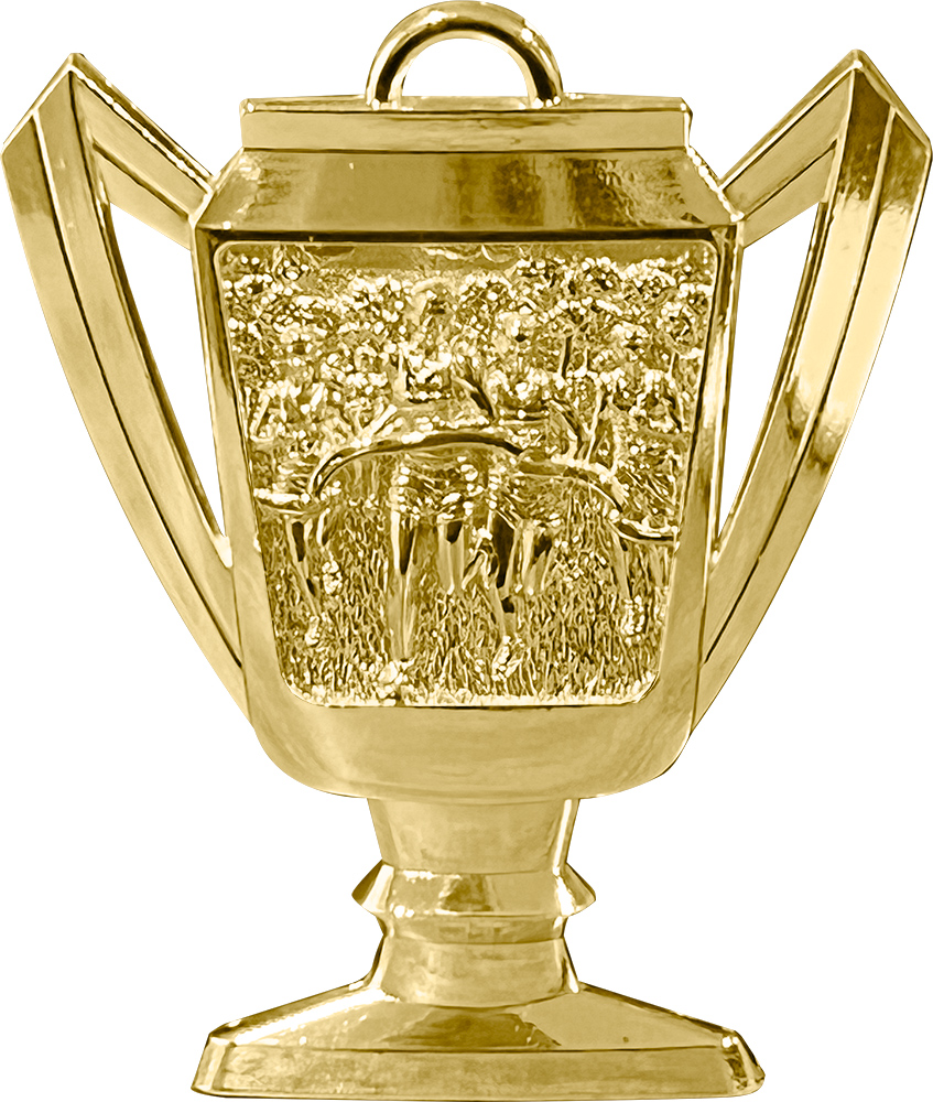 Cross Country Bright Gold Trophy Cup Medal