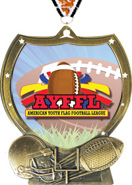 Football Shield Custom Insert Medal