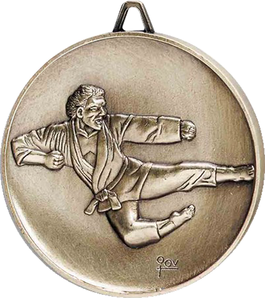 2.5 inch Premium Satin Finish Medal - Martial Arts Male