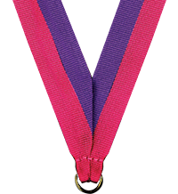 7/8 x 30 in. Bright Pink & Purple Neck Ribbon