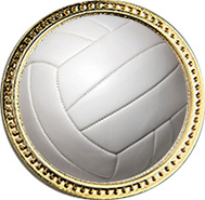 Volleyball Round Insert Pin