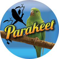 Birds- Parakeet Insert