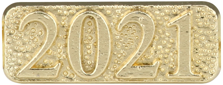 2021 Chenille Pin