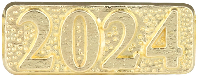 2024 Chenille Pin