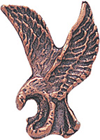 Bronze Eagle Pin