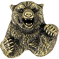 Bear 3D Mascot Pin