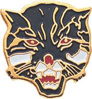 Wildcat Enameled Mascot Pin