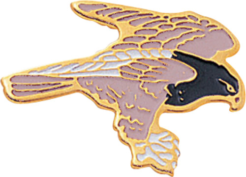 Hawk Enameled Mascot Pin