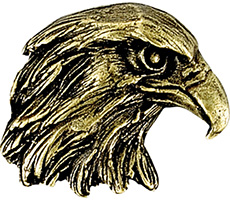 Eagle 3D Mascot Pin