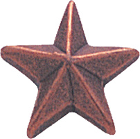 Bronze Star Pin
