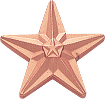 Bronze Star Pin