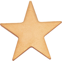 Gold Finish Flat Star Pin