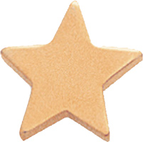 Gold Flat Star Pin