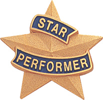 Gold Star Performer Pin