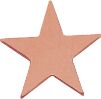 Bronze Flat Star Pin