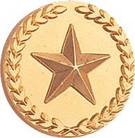 Gold Wreath Framed Star Pin