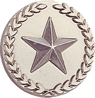 Silver Wreath Framed Star Pin