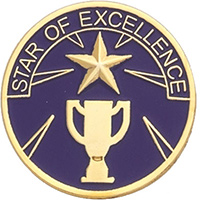 Star of Excellence Enameled Round Pin